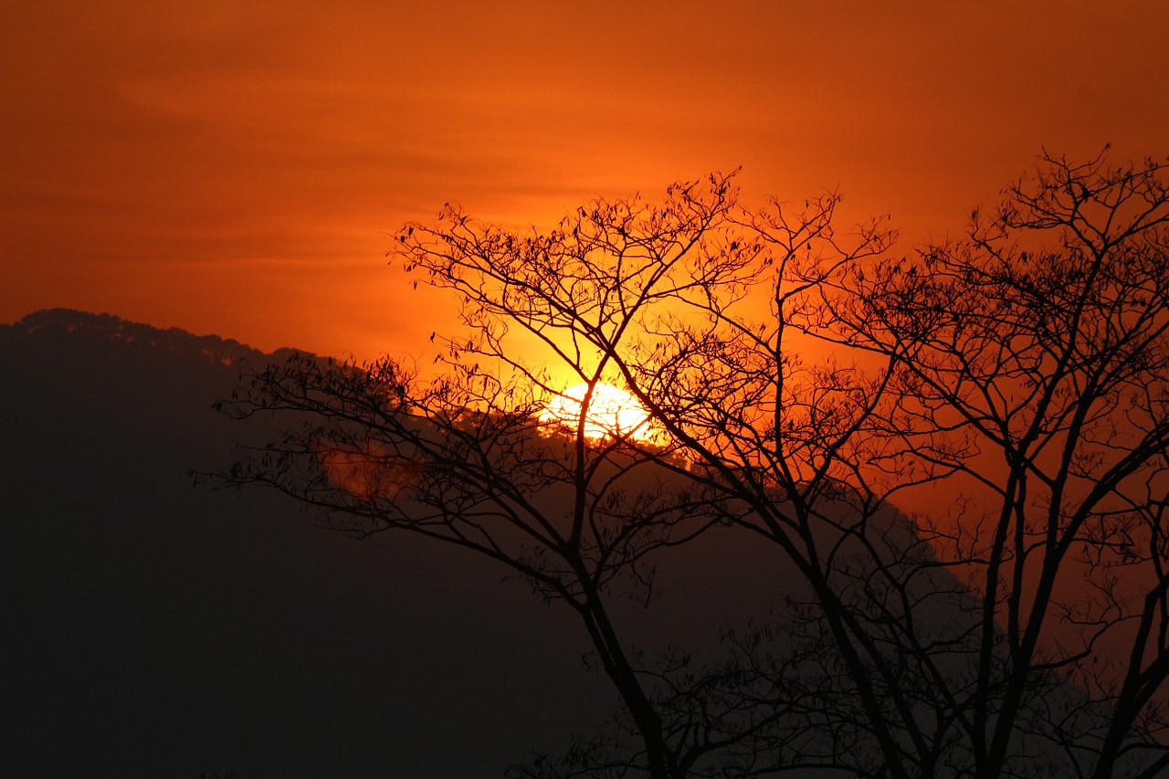 Saulėlydis, Saulėtekis, Aušra, Dusk, Oranžinė, Medžiai, Siluetas, Rytas, Vakaras, Vaizdingas