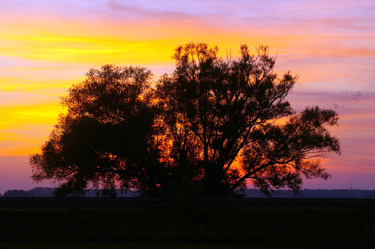 Saulėlydis, Vakaras, Debesys, Dangus, Siluetas, Kraštovaizdis, Dusk, Saulė, Medis, Vakarinis Dangus