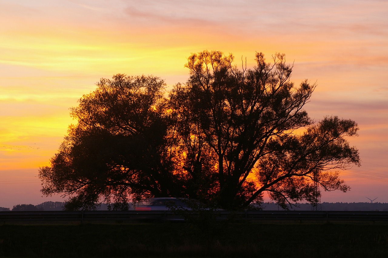 Saulėlydis, Vakaras, Debesys, Dangus, Siluetas, Kraštovaizdis, Dusk, Saulė, Medis, Vakarinis Dangus