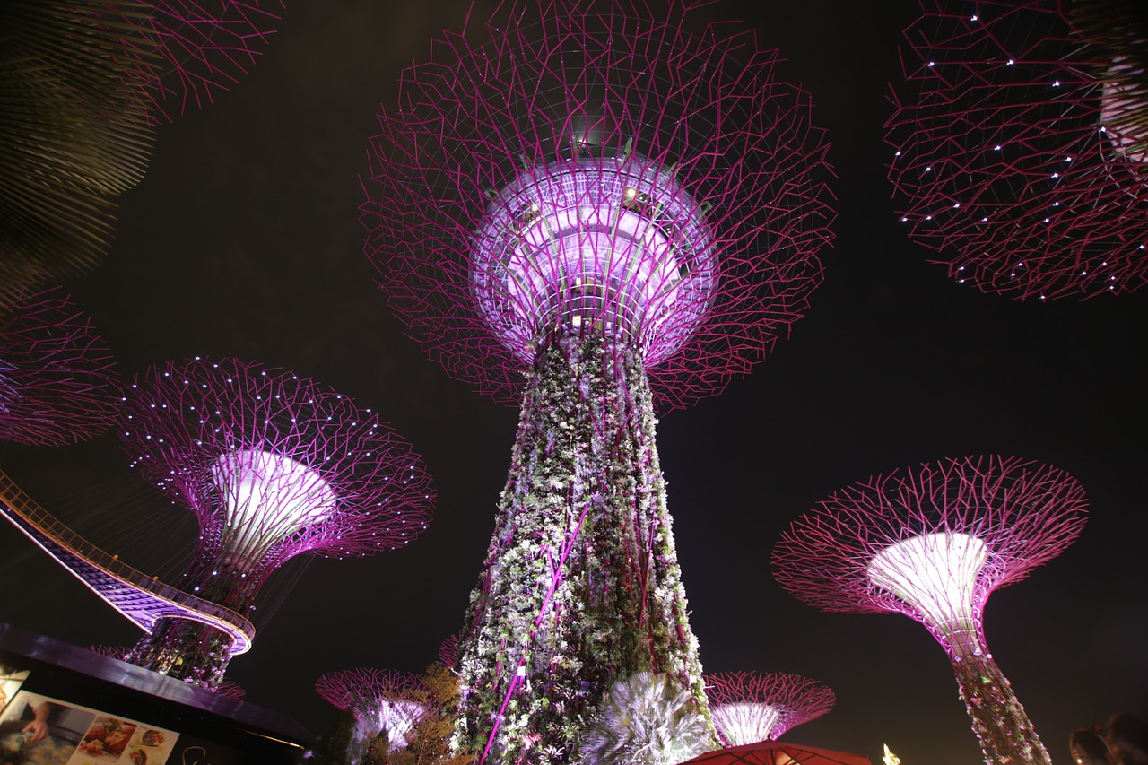 Supertree, Naktis, Singapūras, Architektūra, Šviesa, Orientyras, Šiuolaikiška, Apšviestas, Žinomas, Sodas Prie Įlankos