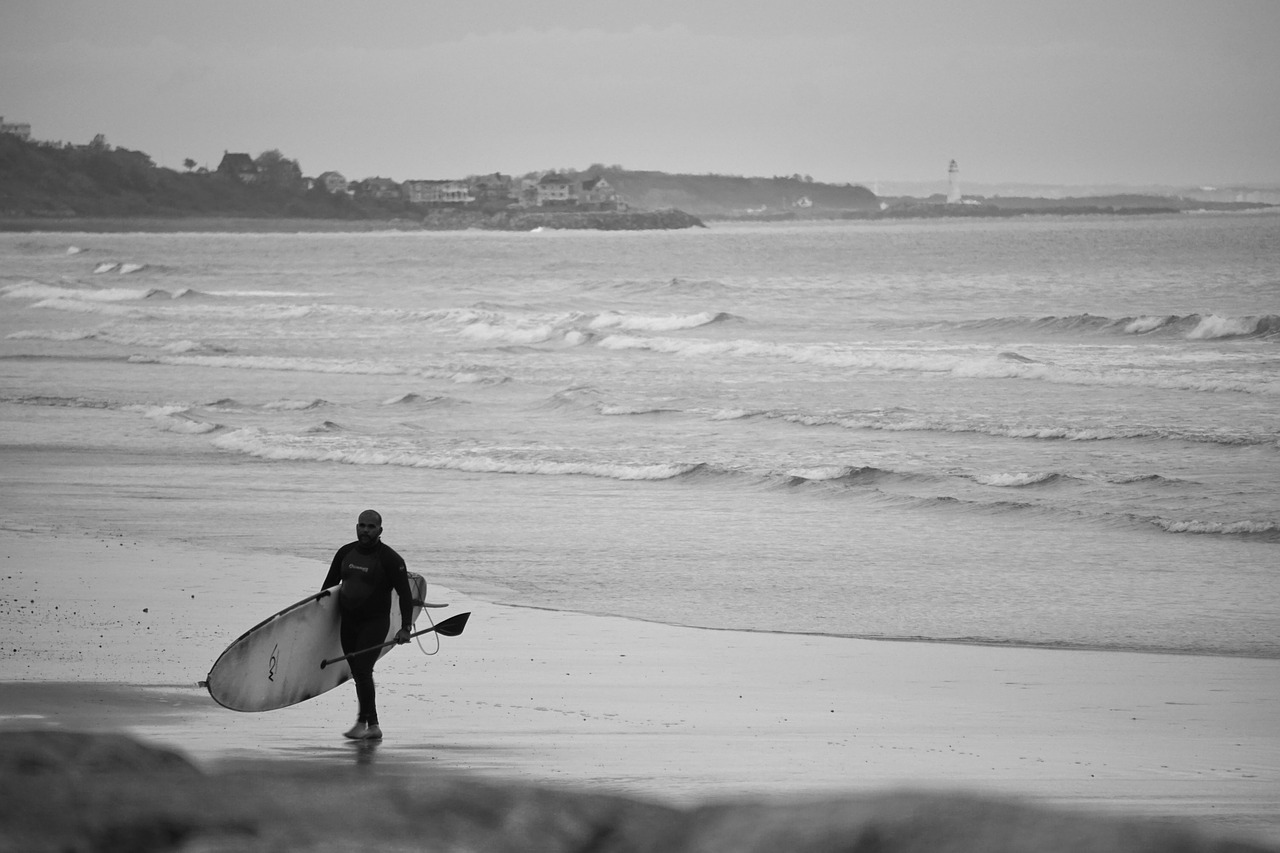 Surf,  Banglentininkas,  Irklas,  Lenta,  Mentinis Valgytojas,  Irklenčių Sportas,  Vandenynas,  Vandens Sportas, Nemokamos Nuotraukos,  Nemokama Licenzija