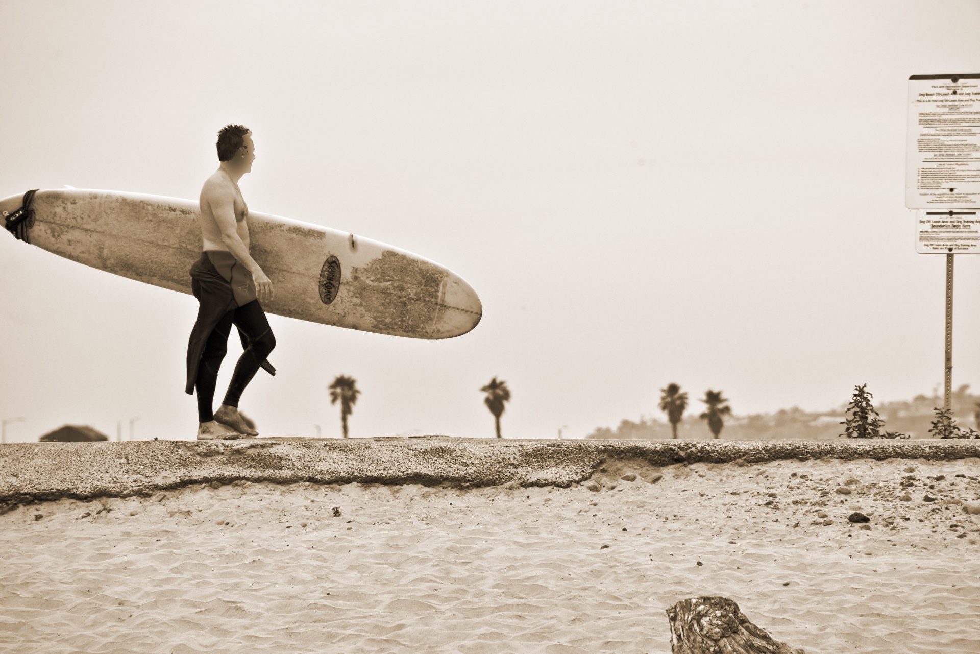 Surfer,  Vaikščioti,  Banglentė,  Banglentininkas, Nemokamos Nuotraukos,  Nemokama Licenzija