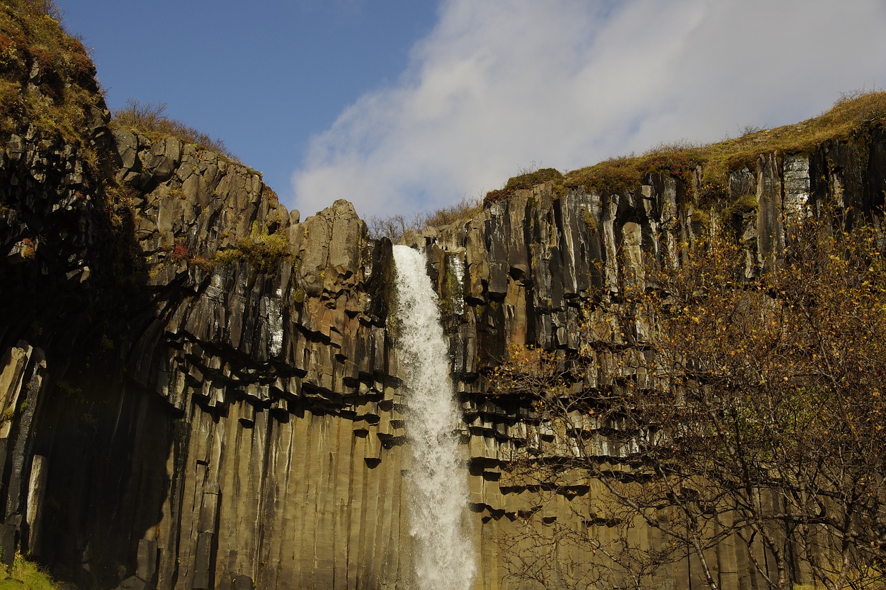 Svartifoss, Iceland, Vatnajökull Nacionalinis Parkas, Krioklys, Juodas Kritimas, Bazaltas, Skaftafell, Kraštovaizdis, Vanduo, Nemokamos Nuotraukos