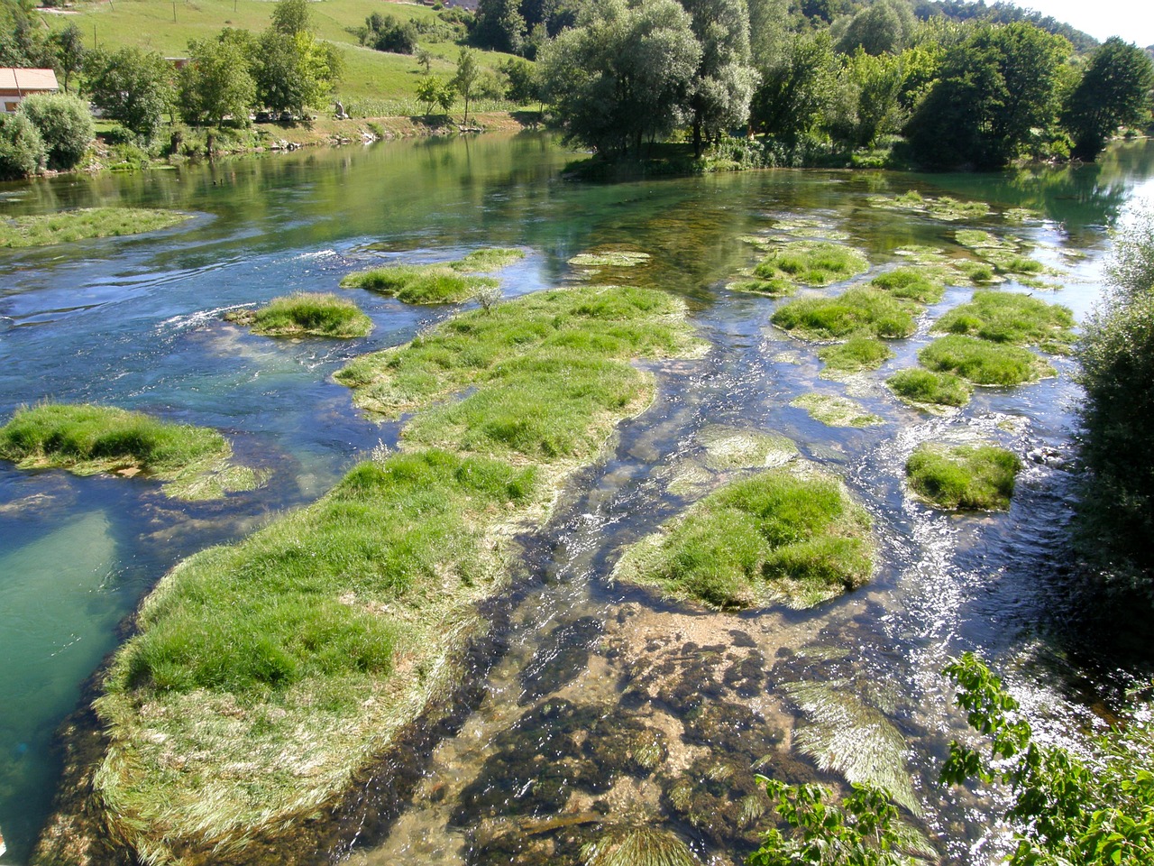 Pelkė, Žemas Vanduo, Upė, Nemokamos Nuotraukos,  Nemokama Licenzija