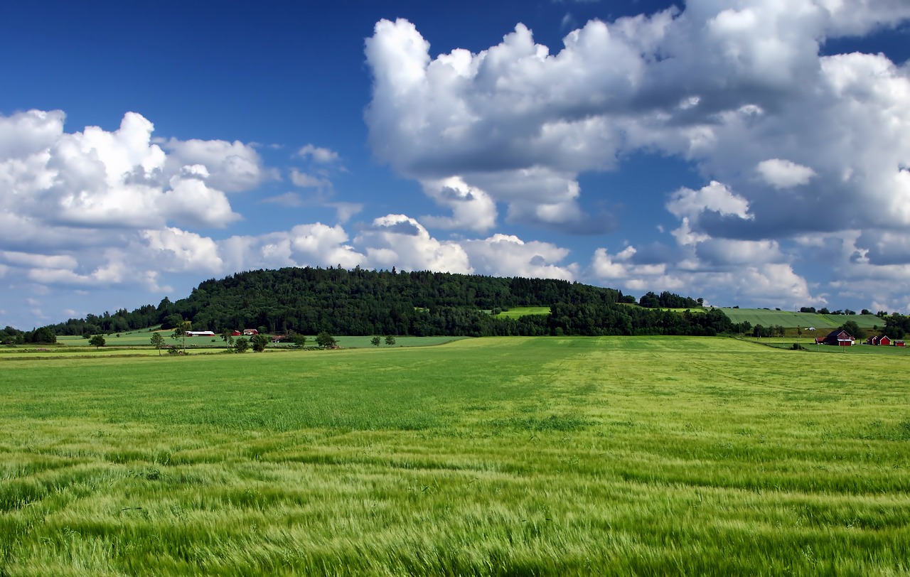 Švedija, Kraštovaizdis, Vaizdingas, Kalvos, Dangus, Debesys, Laukai, Žolė, Vasara, Pavasaris