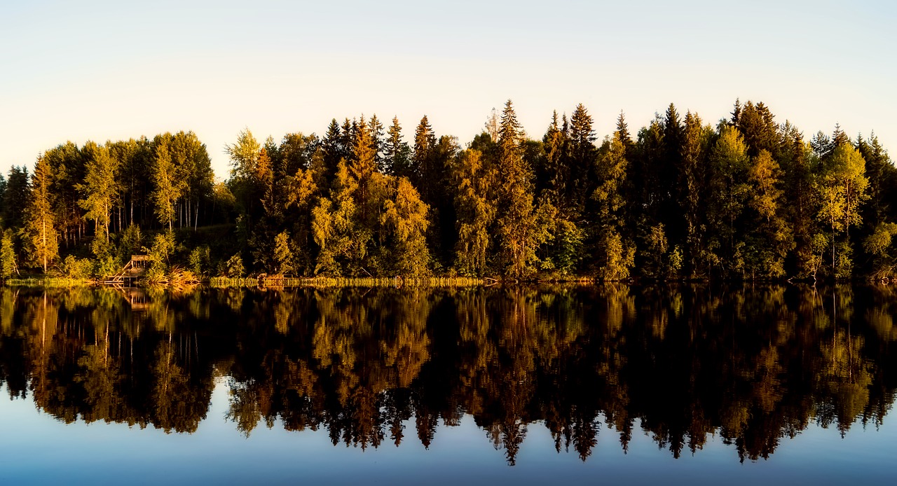 Švedija, Ežeras, Vanduo, Apmąstymai, Panorama, Kraštovaizdis, Gamta, Lauke, Miškas, Medžiai