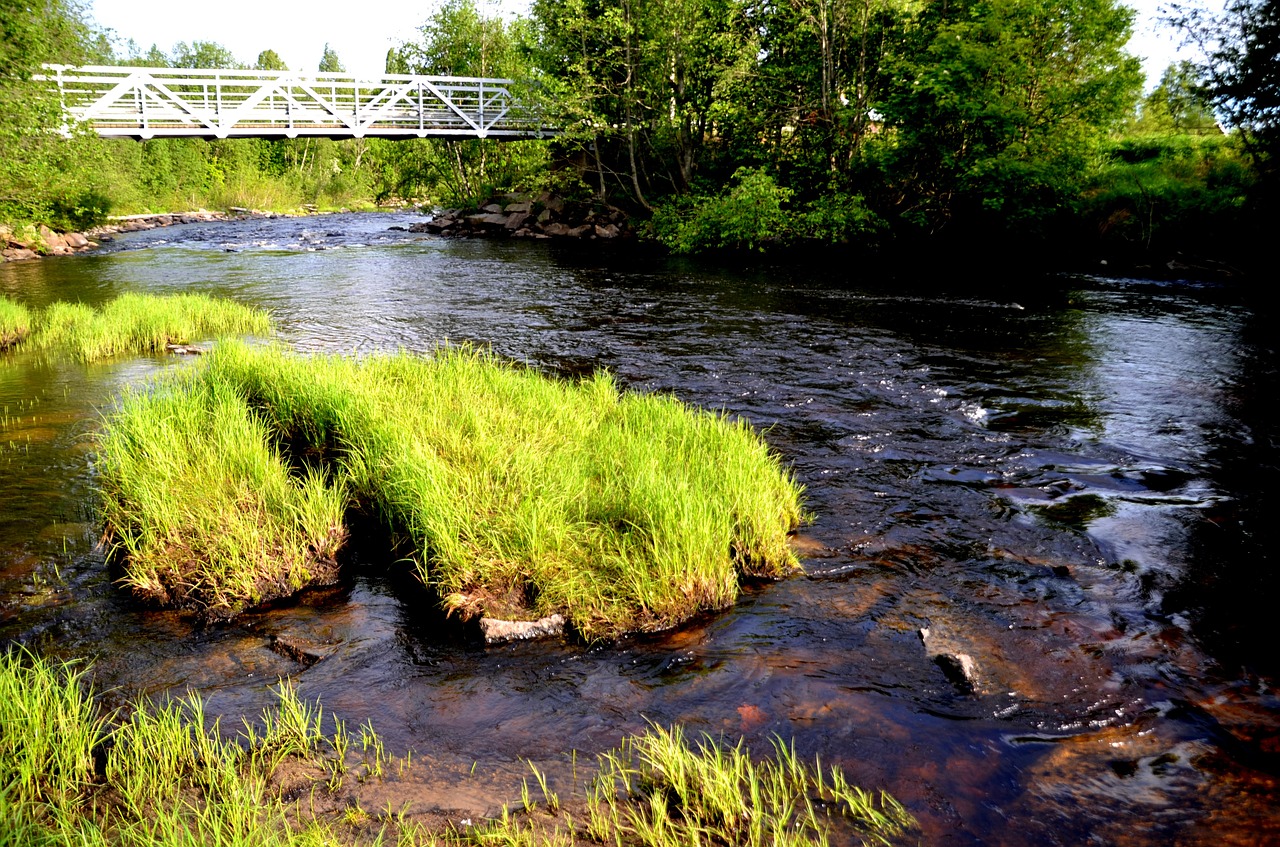 Švedija,  Švilpukas,  Vandens Telkiniai,  Ašaros,  Vandens,  Kanalas,  Reedbed,  Skellefteå,  Ersmarksberget, Nemokamos Nuotraukos