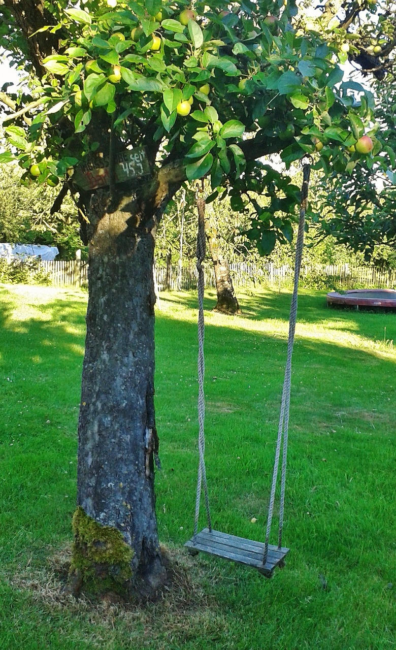 Sūpynės, Sodo Sūpynės, Vaziuojantys Vaikai, Žaislai, Laisvalaikis, Linksma, Medis, Sodas, Rokas, Sėdynės Sūpynės