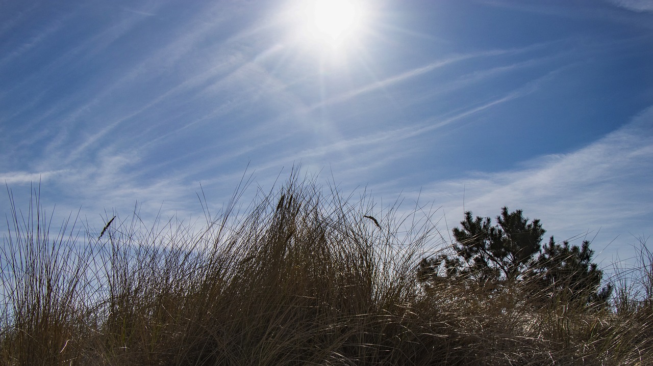 Świnoujście,   Dune,   Beach,   Backlighting,   Baltic Sea, Nemokamos Nuotraukos,  Nemokama Licenzija