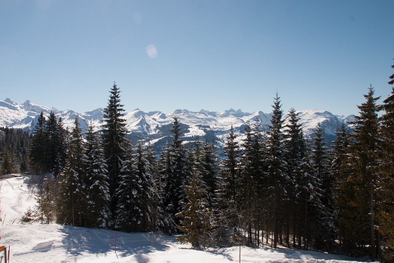Šveicarija, Kalnai, Slidinėjimas, Sniegas, Žiema, Kalvos, Canton Of Schwyz, Nemokamos Nuotraukos,  Nemokama Licenzija