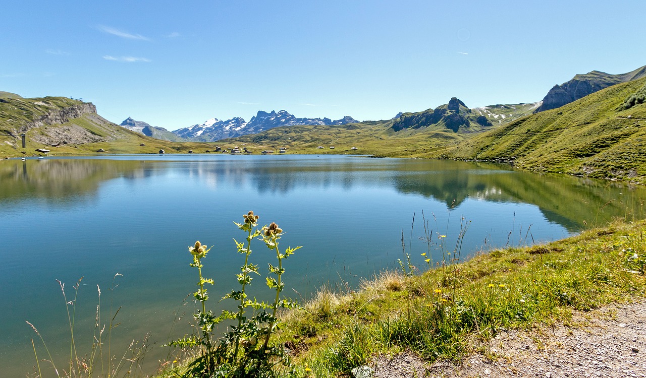 Šveicarija, Kalnai, Bergsee, Melchsee, Nemokamos Nuotraukos,  Nemokama Licenzija