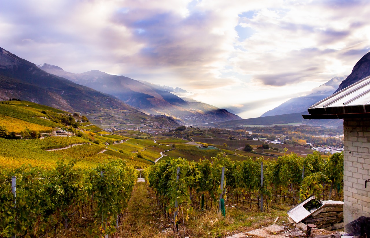 Šveicarija, Valais, Kalnas, Gamta, Kraštovaizdis, Vynuogynai, Nemokamos Nuotraukos,  Nemokama Licenzija