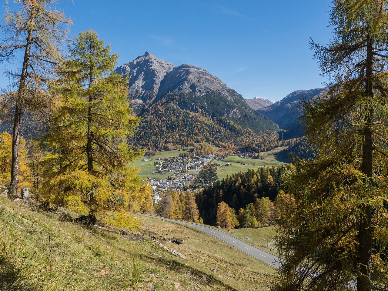 Šveicarija, Engadin, Ruduo, La-Punt, Kritimo Spalva, Rudens Spalvos, Rudens Nuotaika, Medžiai, Nuotaika, Spalio Mėn