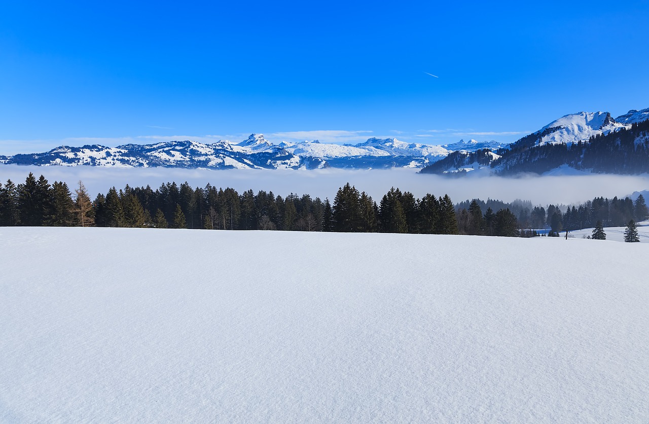 Šveicarija, Alpės, Swiss Alps, Gamta, Kraštovaizdis, Žiema, Žiemos Metu, Vaizdas, Stoos, Schwyz