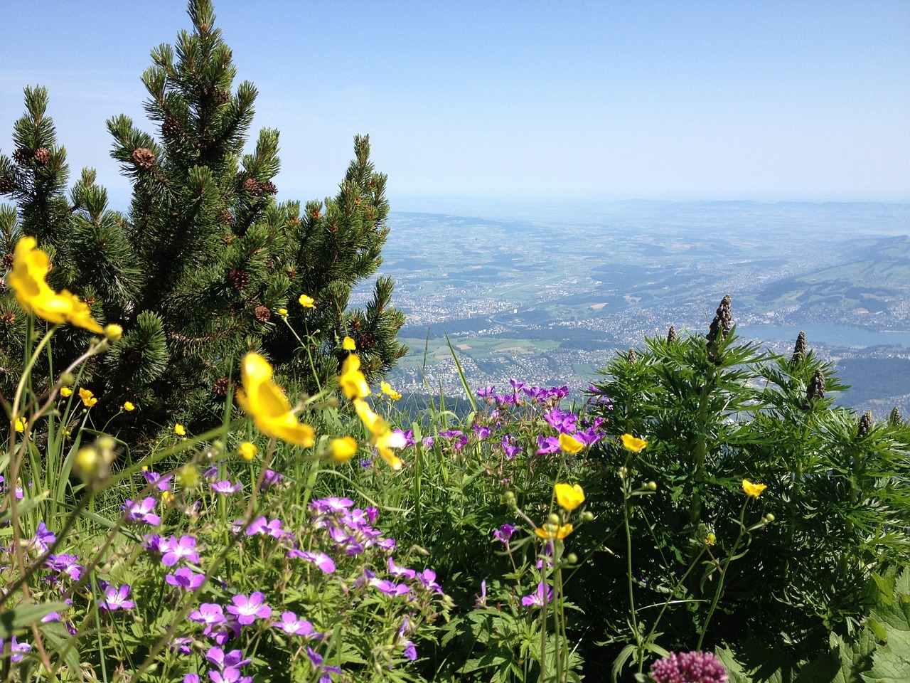Šveicarija, Kalnas, Gamta, Žalias, Gėlės, Pavasaris, Nemokamos Nuotraukos,  Nemokama Licenzija