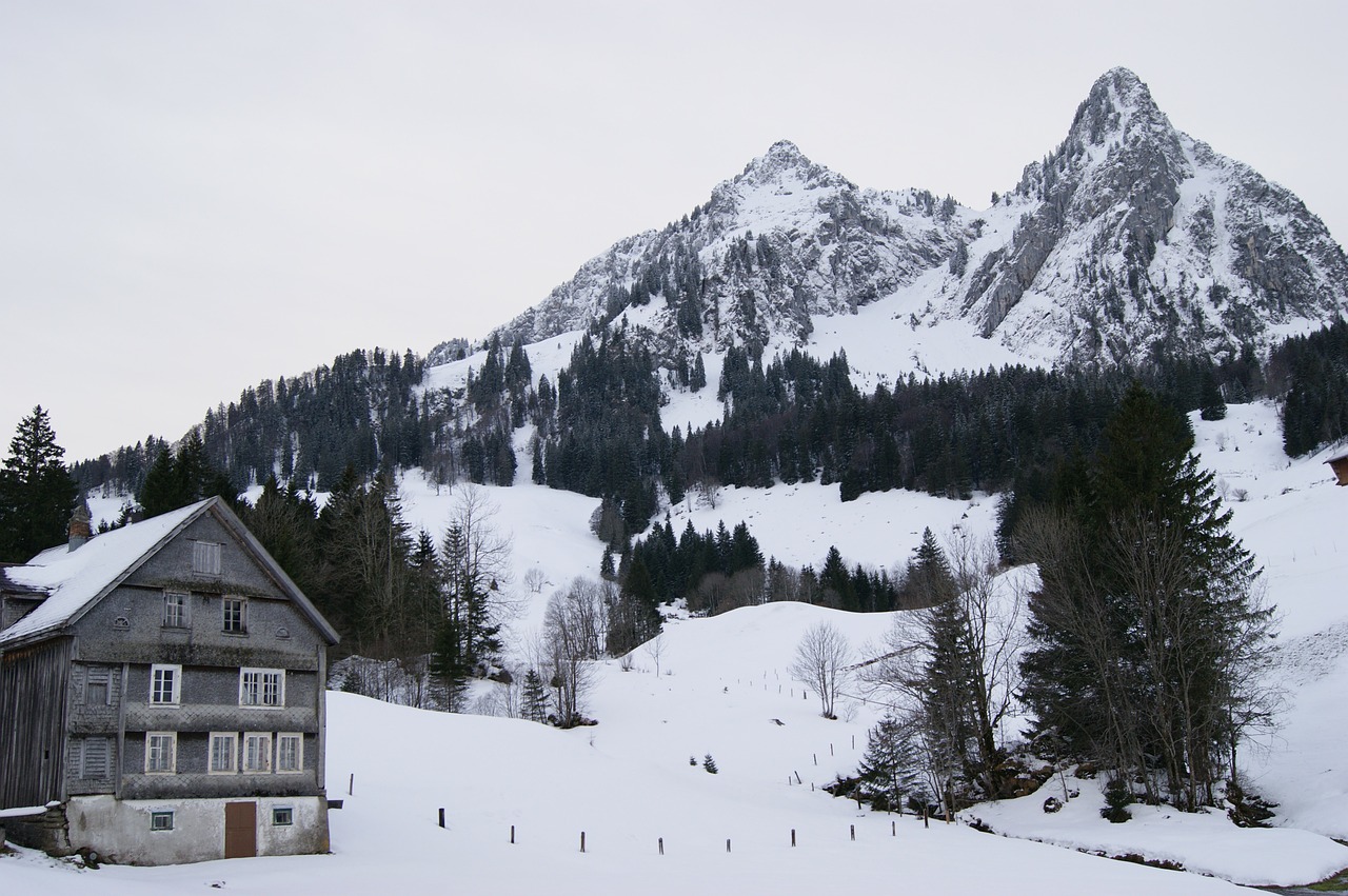 Šveicarija, Namai, Kalnai, Sniegas, Medžiai, Kraštovaizdis, Žiema, Žiemą, Snieguotas, Balta