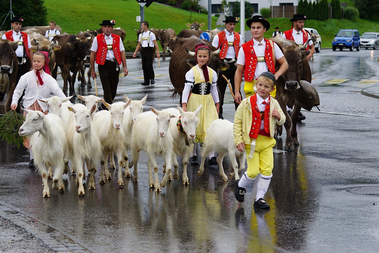 Šveicarija, Appenzell, Tipiškas, Tradicija, Désalpe, Ožkos, Paradas, Tradicinis, Vaikai, Nemokamos Nuotraukos