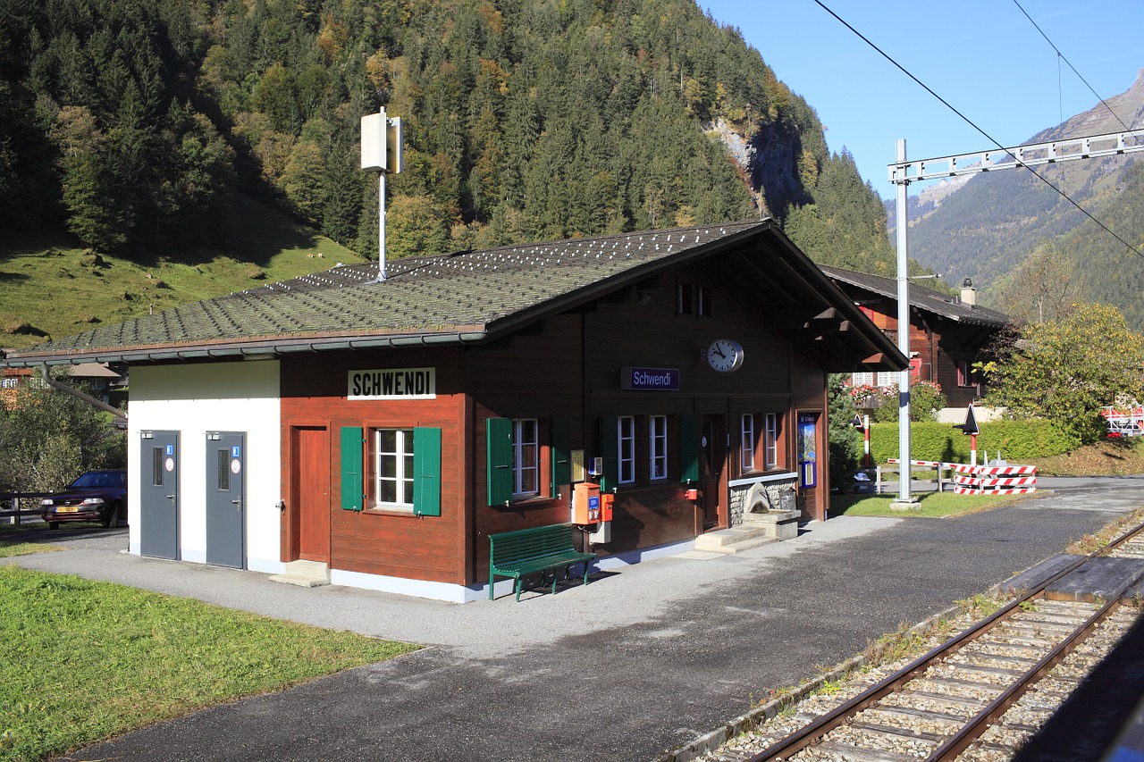 Šveicarija, Kalnų Geležinkelis, Kalnas, Traukinių Stotis, Trasa, Vietinės Linijos, Kelionė, Grindelwald, Schwendi, Nemokamos Nuotraukos