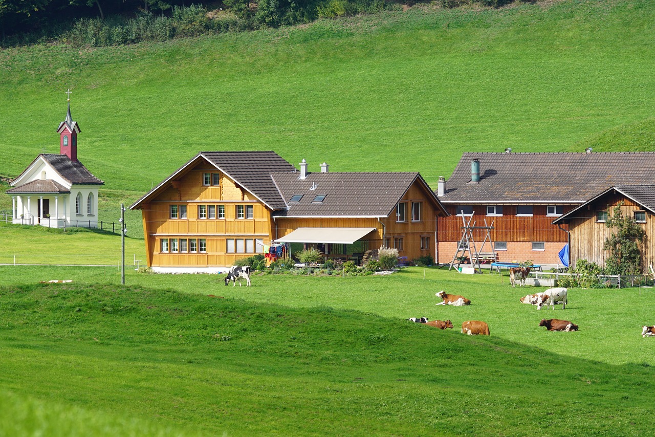 Šveicarija, Appenzell, Atsiskaitymas, Karvės, Ganykla, Appenzeller Namas, Nemokamos Nuotraukos,  Nemokama Licenzija
