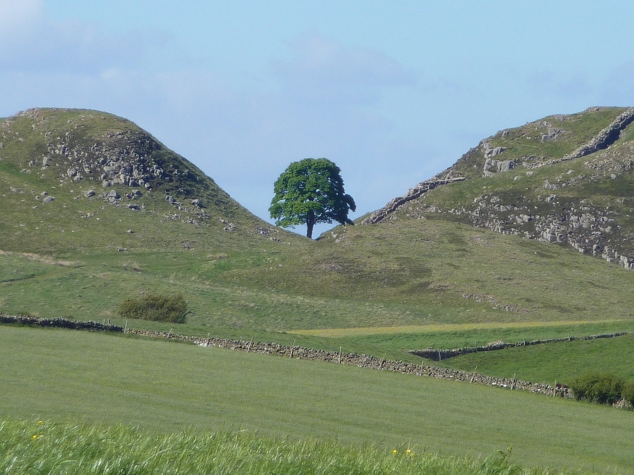 Sycamore Atotrūkis, Northumberland, Hadriano Siena, Šiaurės Rytų Turizmas, Nemokamos Nuotraukos,  Nemokama Licenzija