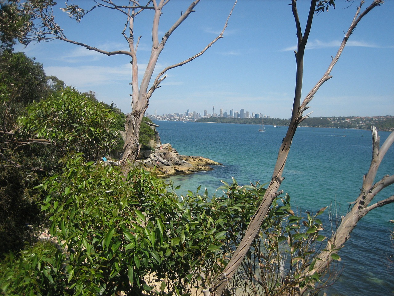 Sidnėjus, Jūra, Australia, Architektūra, Nemokamos Nuotraukos,  Nemokama Licenzija