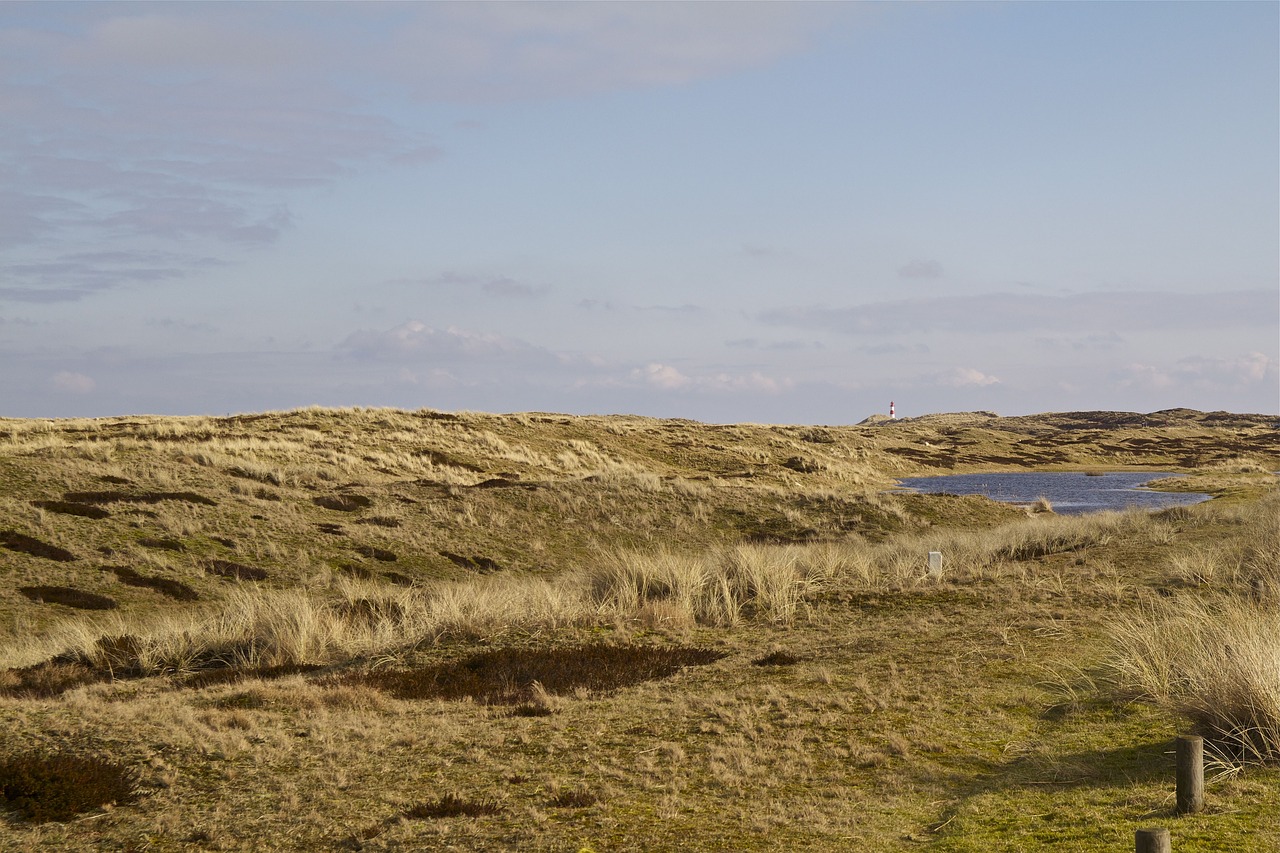 Sylt, Šiaurės Jūra, Sala, Kraštovaizdis, Gamta, Kranto, Alkūnė, Gamtos Apsauga, Uwe Kopos, Dangus