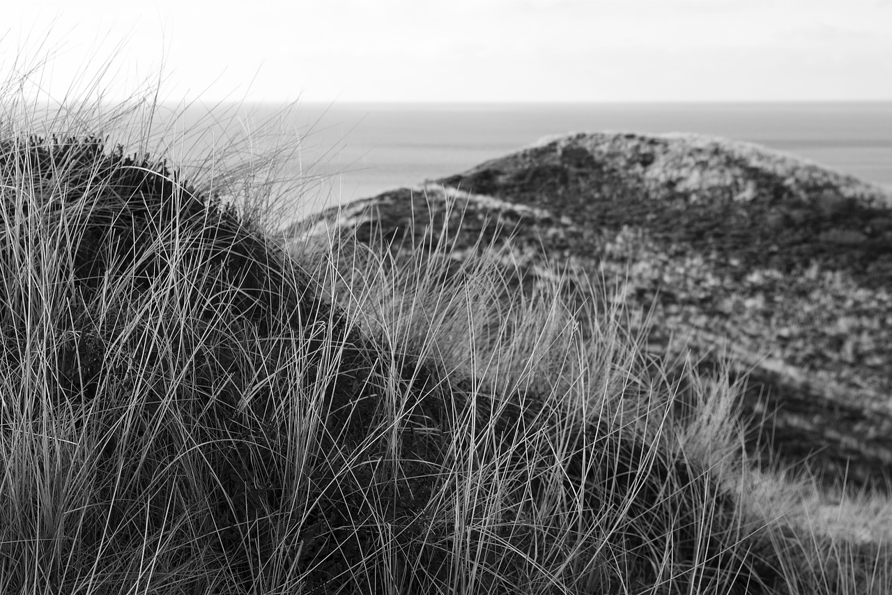 Sylt, Šiaurės Jūra, Sala, Kraštovaizdis, Gamta, Kranto, Alkūnė, Gamtos Apsauga, Uwe Kopos, Dangus