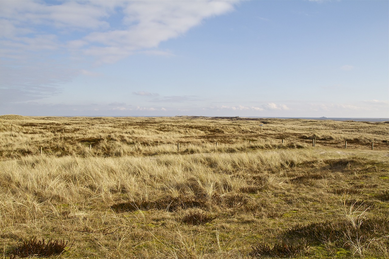 Sylt, Šiaurės Jūra, Sala, Kraštovaizdis, Gamta, Kranto, Alkūnė, Gamtos Apsauga, Uwe Kopos, Dangus