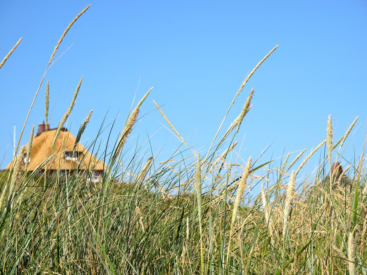 Sylt, Saulė, Šiaurės Jūra, Vasara, Sala, Gamta, Šventė, Smėlis, Kraštovaizdis, Šiaurinė Vokietija