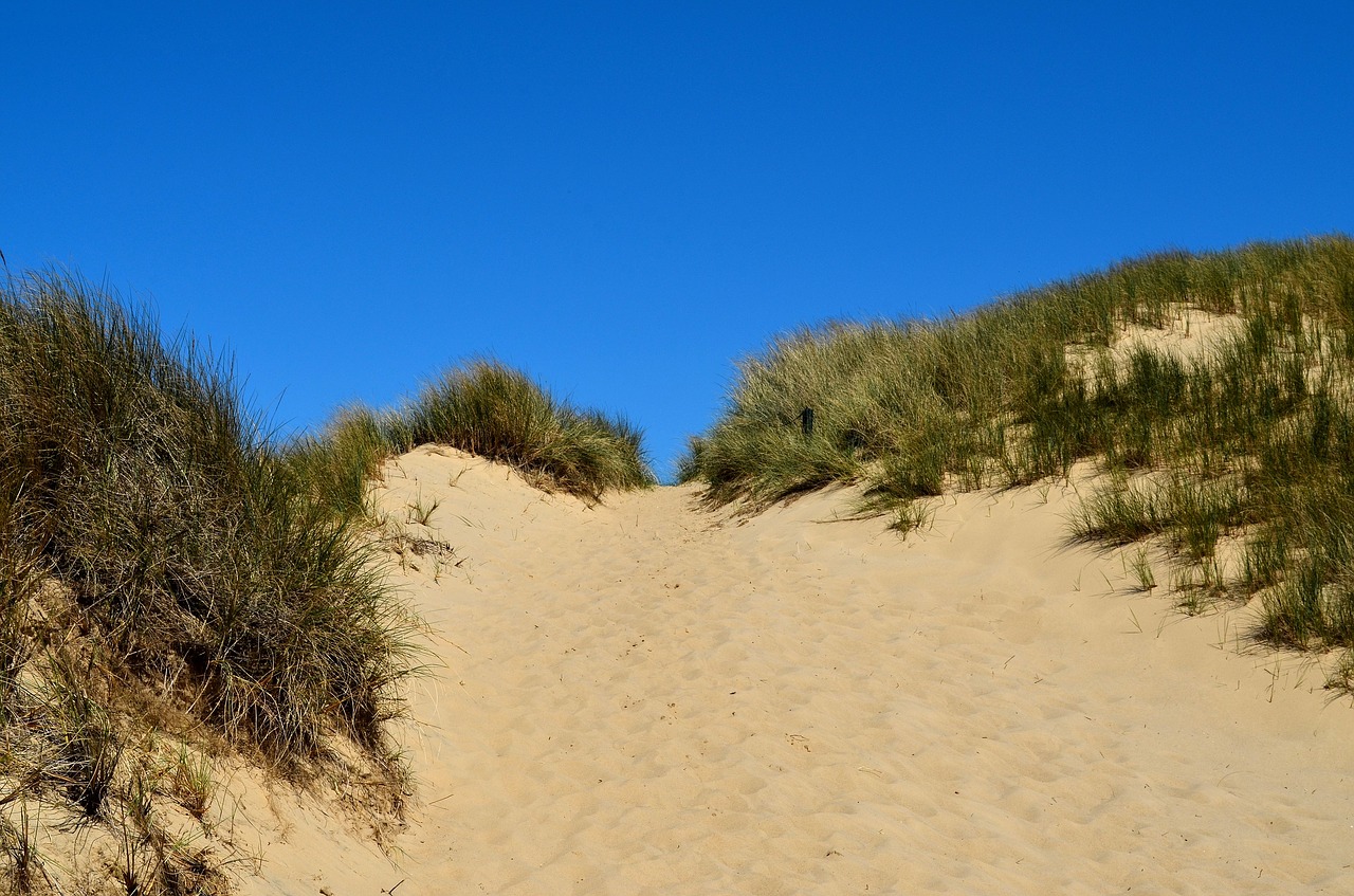 Sylt,  Wenningstedt,  Kampen,  Dune Kraštovaizdis,  Raudona Uolos,  Kopos,  Gamtos Rezervatas,  Papludimys,  Smėlio Kopos,  Sala