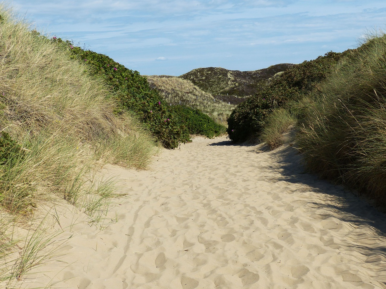 Sylt,  Kampen,  Šiaurės Jūra,  Sala,  Pakrantės,  Papludimys,  Kopos,  Jūra,  Atostogos,  Pobūdį