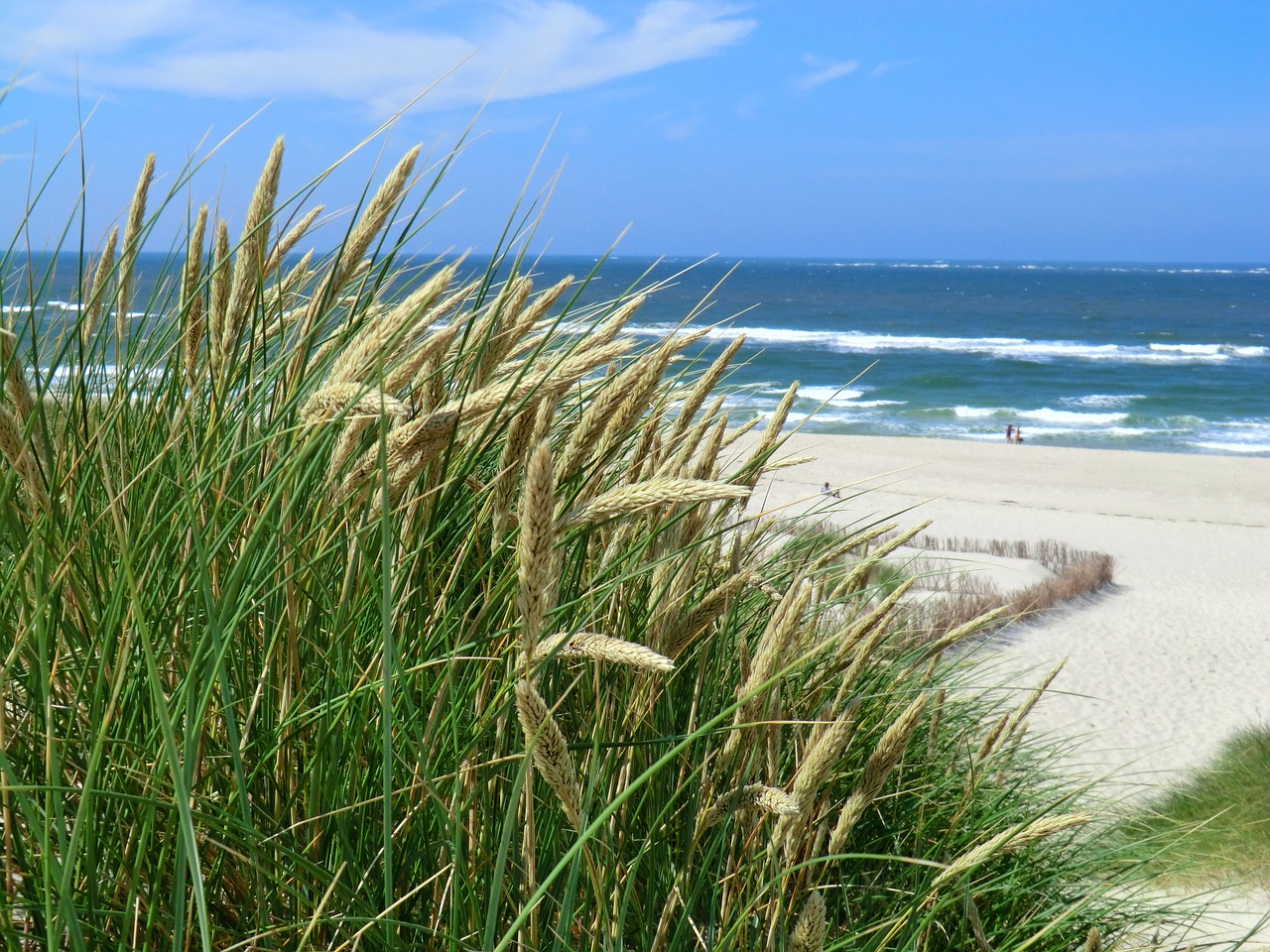 Sylt,  Papludimys,  Vokietija,  Šiaurė,  Smėlis,  Vandenynas,  Sala,  Vanduo,  Kranto,  Lauke