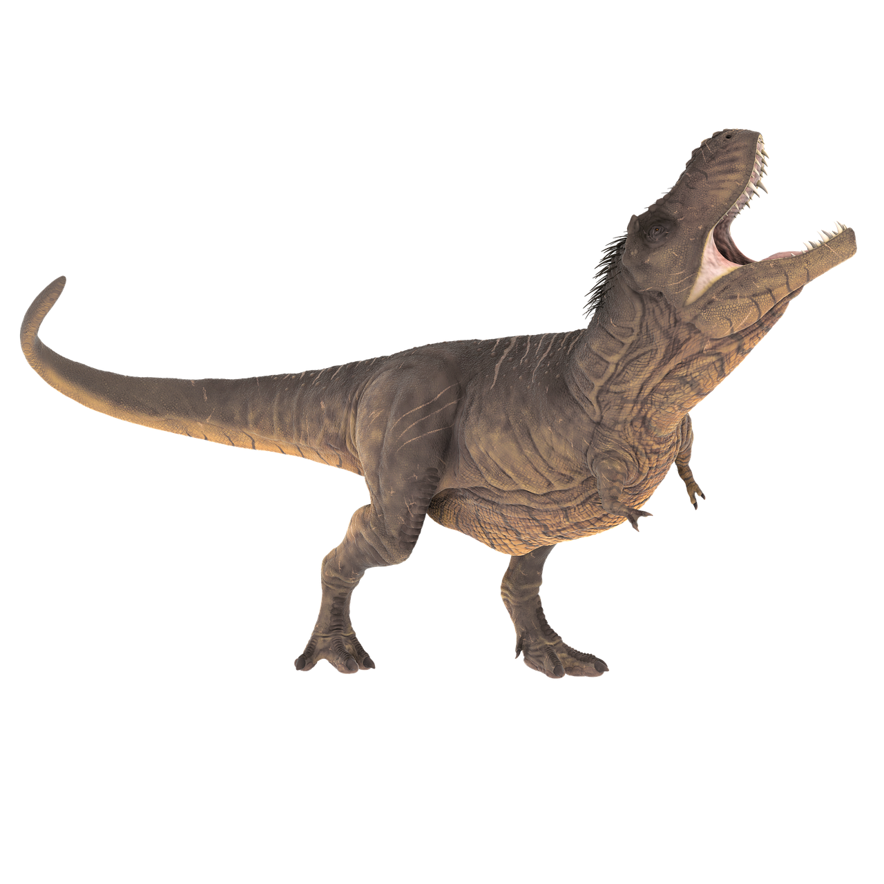 T-Rex, Priešistorinis, Dinozauras, Jurassic, Tyrannosaurus, Ropliai, Išnykęs, Plėšrūnas, Nemokamos Nuotraukos,  Nemokama Licenzija