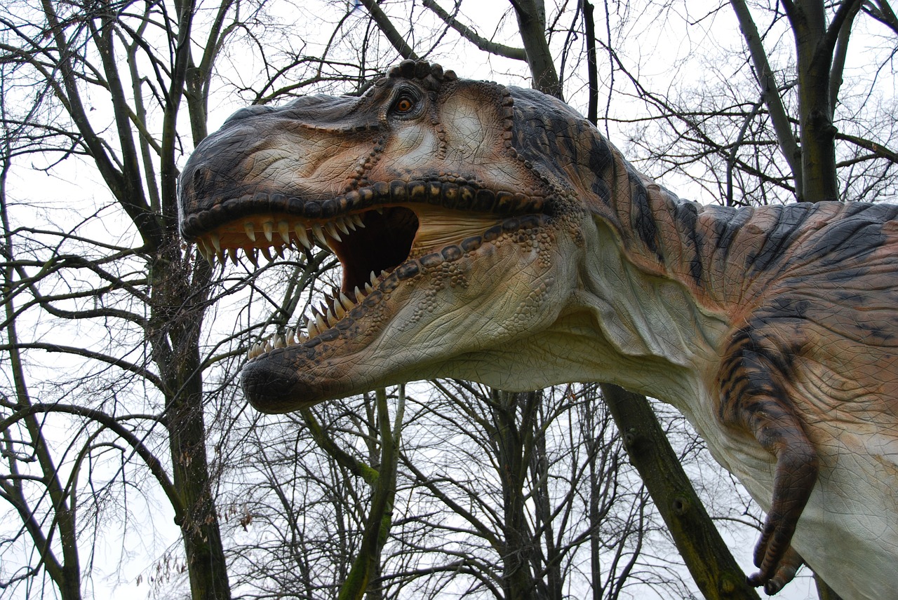 T-Rex, Dinozaurai, Dantys, Monza Parkas, Nemokamos Nuotraukos,  Nemokama Licenzija