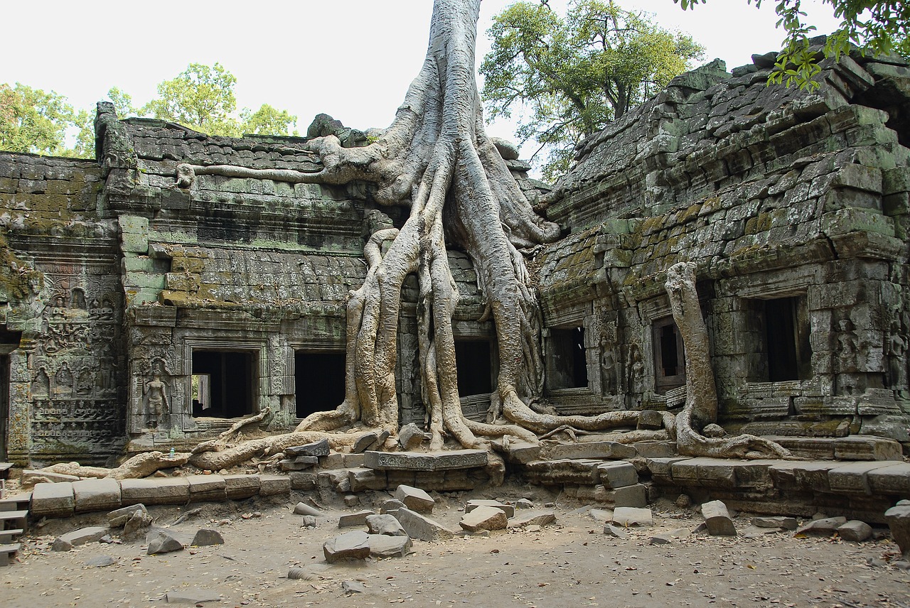 Ta Prohm, Kambodža, Angkor, Wat, Turizmas, Architektūra, Kelionė, Orientyras, Senovės, Sugadinti