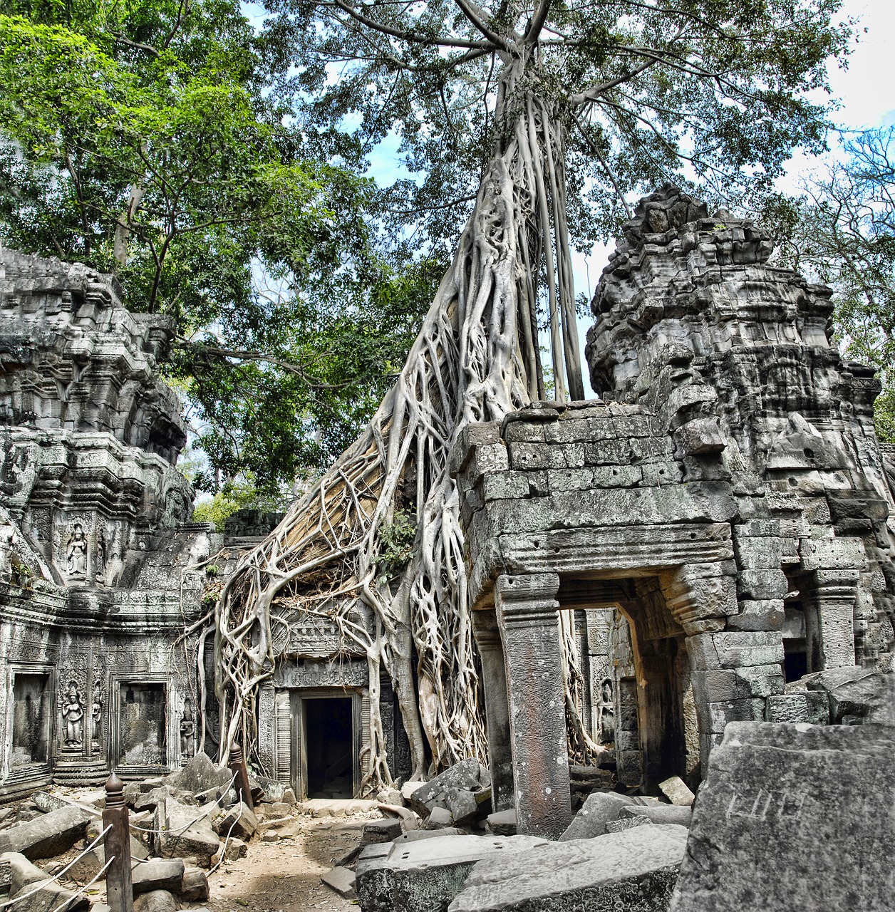 Ta Prohm, Kambodža, Angkor, Wat, Turizmas, Architektūra, Kelionė, Orientyras, Senovės, Sugadinti