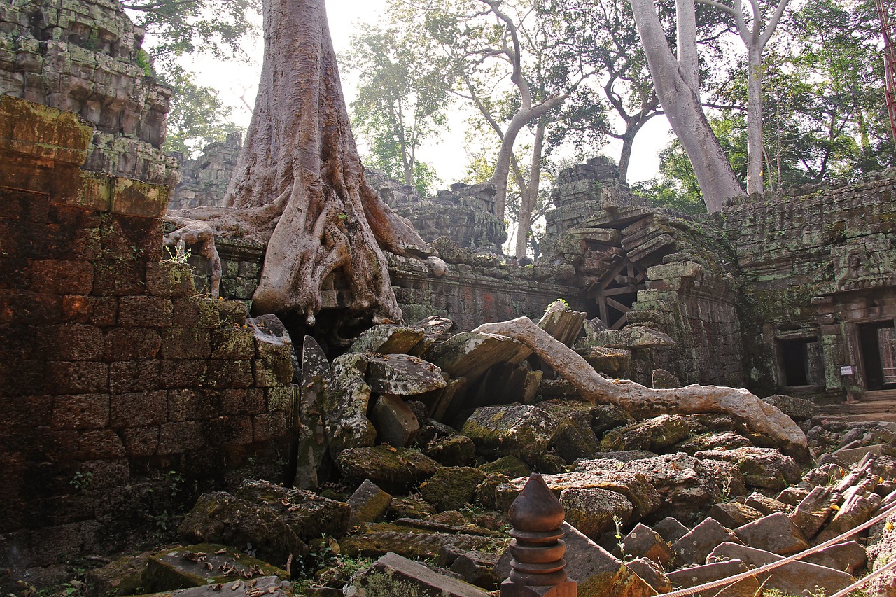 Ta Prohm Temple, Kapas Raiderių Šlovę, Šventykla, Kelionė, Senovinis, Senas, Filmas, Gražus, Angkor Wat, Siem Grižti