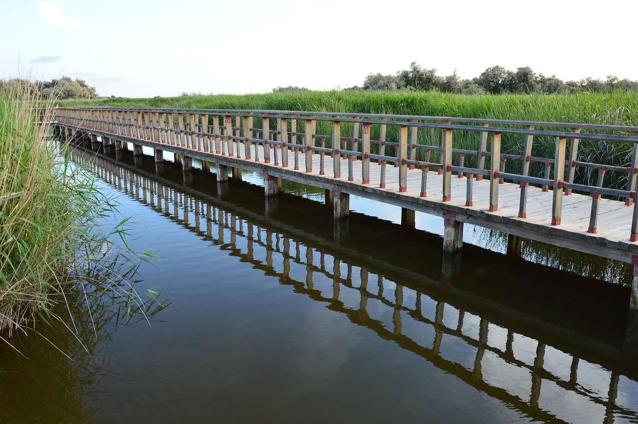 Stalai Daimiel, Vanduo, Karališkas Miestas, Ispanija, Nemokamos Nuotraukos,  Nemokama Licenzija