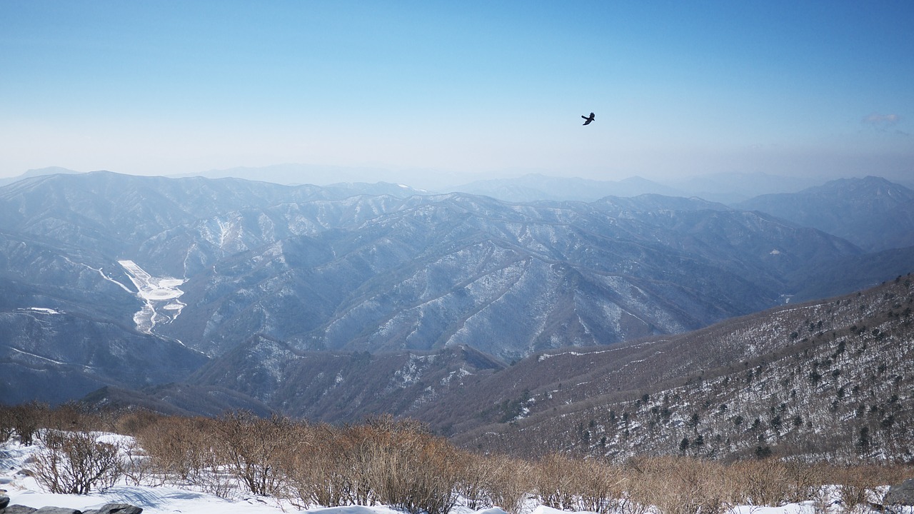 Taebaek, Viršuje, Kalnas, Sniegas, Kraštovaizdis, Žiemos Kalnas, Korėjos Respublika, Peizažas, Dangus, Mėlynas