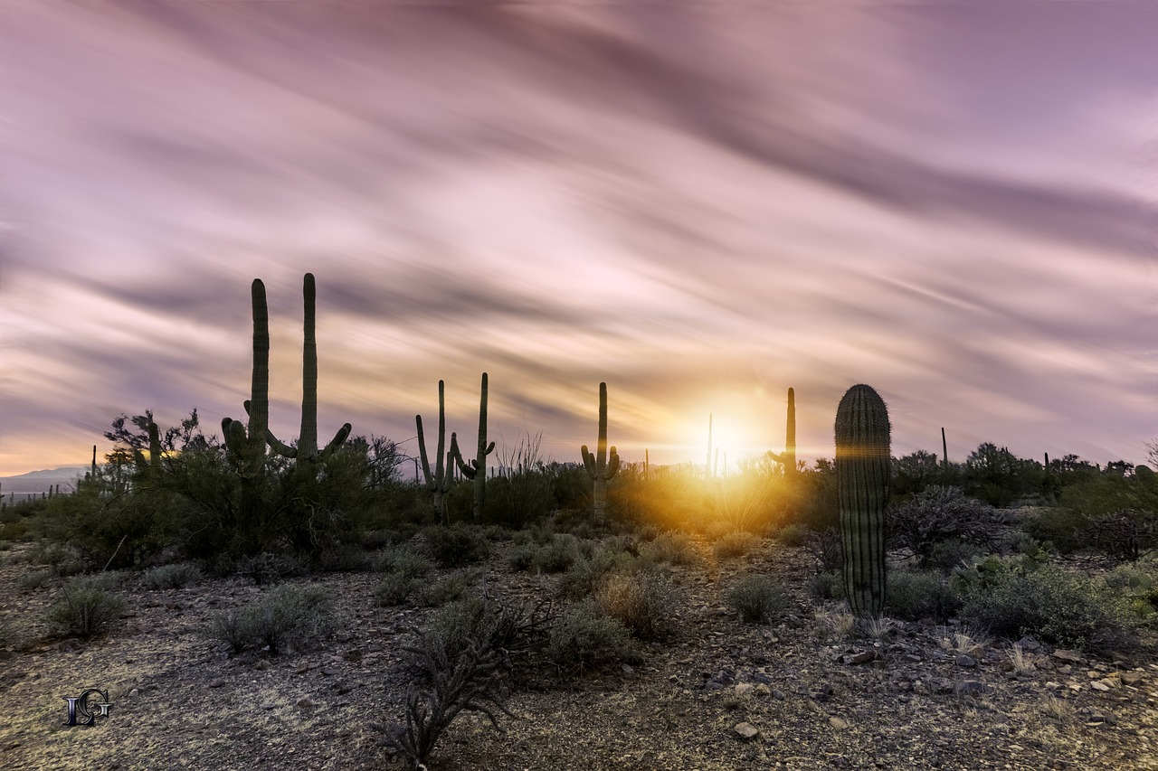 Tagsnature, Arizona, Dangus, Kraštovaizdis, Saulėlydis, Saulėtekis, Siluetas, Saguaro, Saulė, Karštas