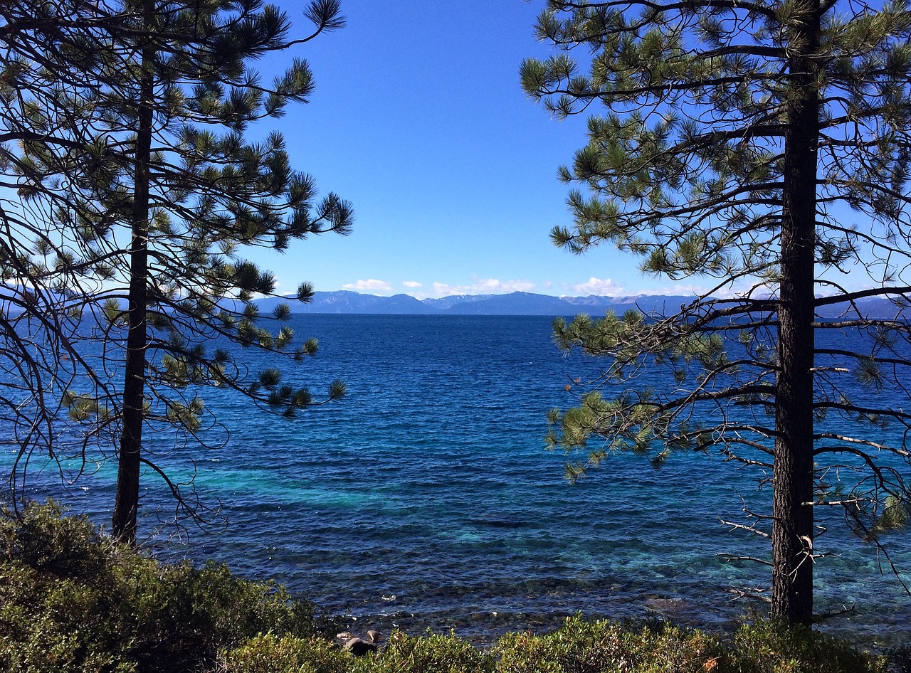 Tahoe, Ežeras, Ežeras Tahoe, Mėlynas, Vanduo, Medžiai, Dangus, Kalnas, Kalifornija, Nevada
