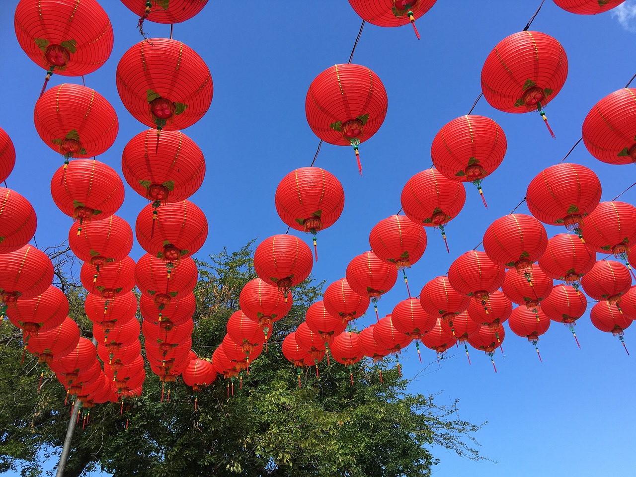 Taichung Parkas, Žibintų Festivalis, 燈 Ilgai, Nemokamos Nuotraukos,  Nemokama Licenzija