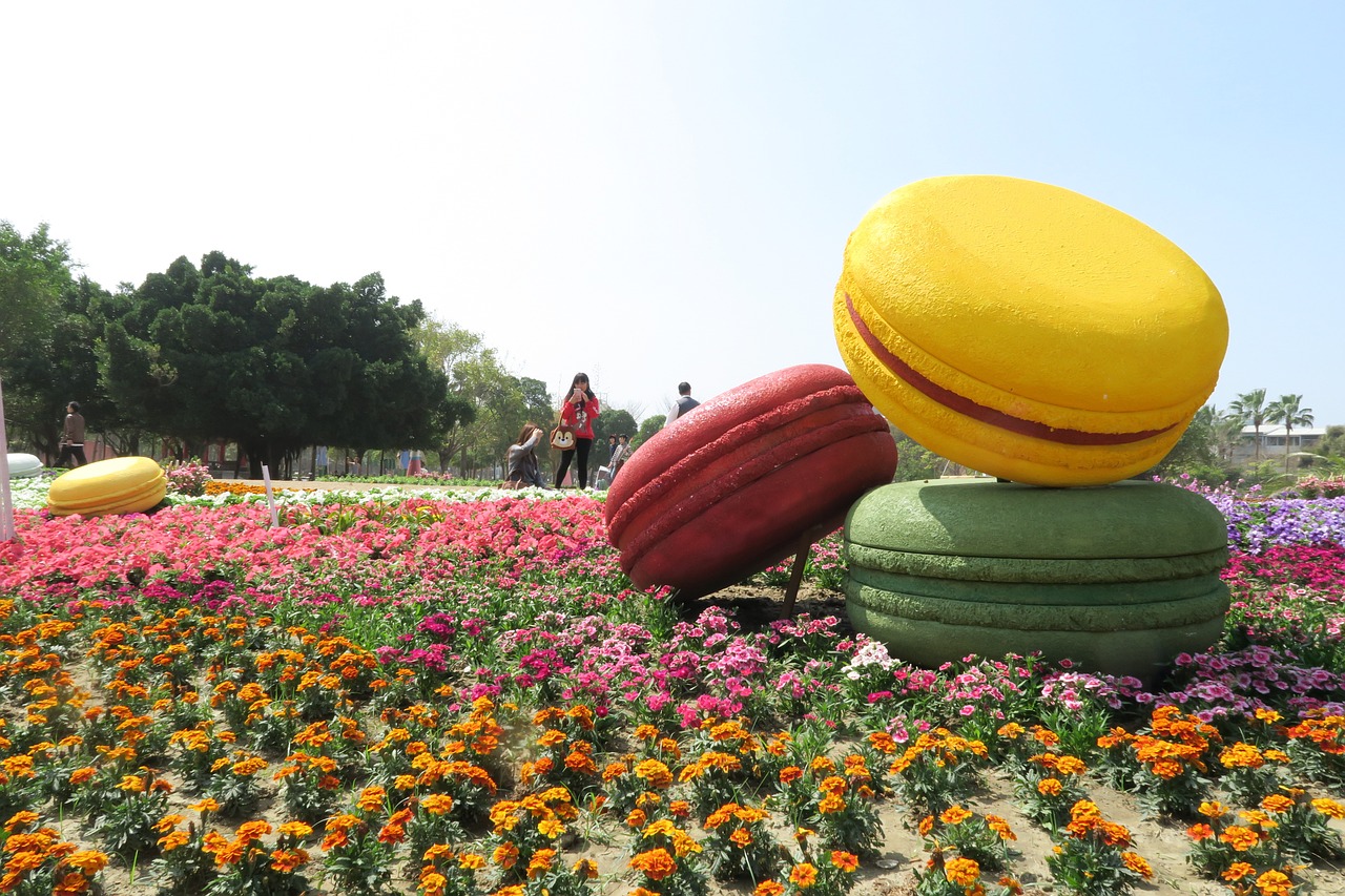 Tainan Gėlės Siūlo, Galvos Drakonas, Pievos Ūkių Parkas, Nemokamos Nuotraukos,  Nemokama Licenzija