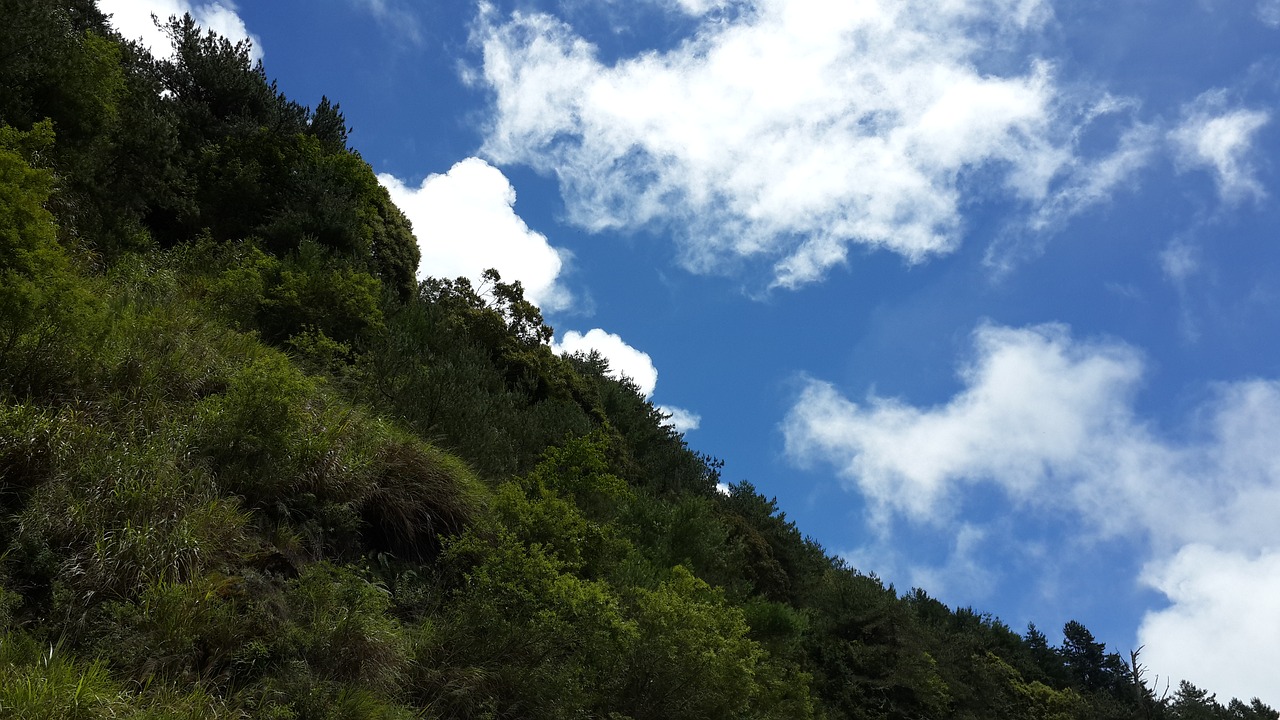 Taivanas Alishanas, Kalnas, Pavardė, Gamtos Peizažai, Nemokamos Nuotraukos,  Nemokama Licenzija