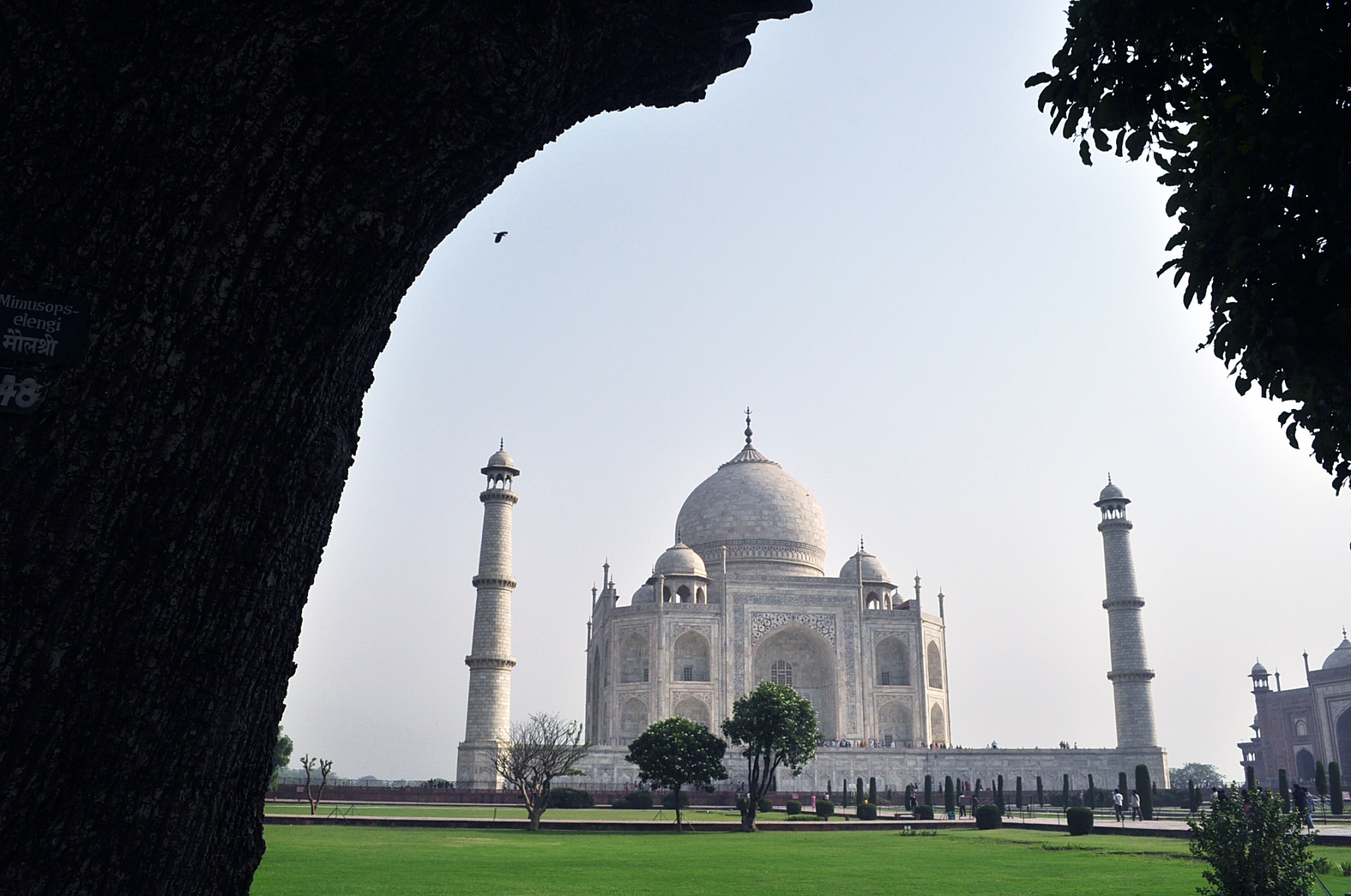 Taj Mahal,  Moghalas,  Paminklas,  Paminklas,  Marmuras,  Meilė,  Mečetė,  Architektūra,  Istorinis,  Taj 2