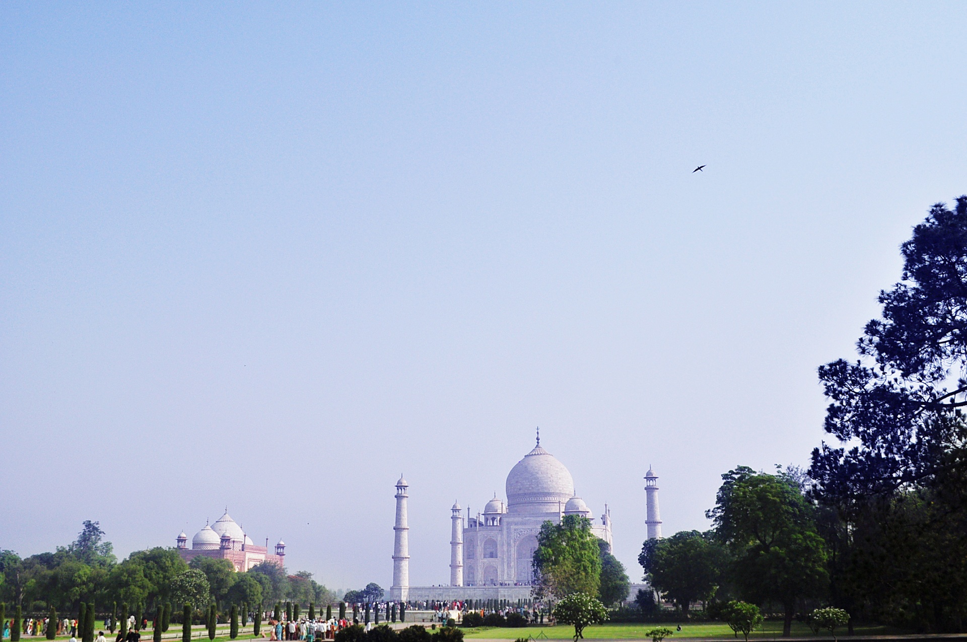 Taj Mahal,  Moghalas,  Paminklas,  Paminklas,  Marmuras,  Meilė,  Mečetė,  Architektūra,  Istorinis,  Taj 3