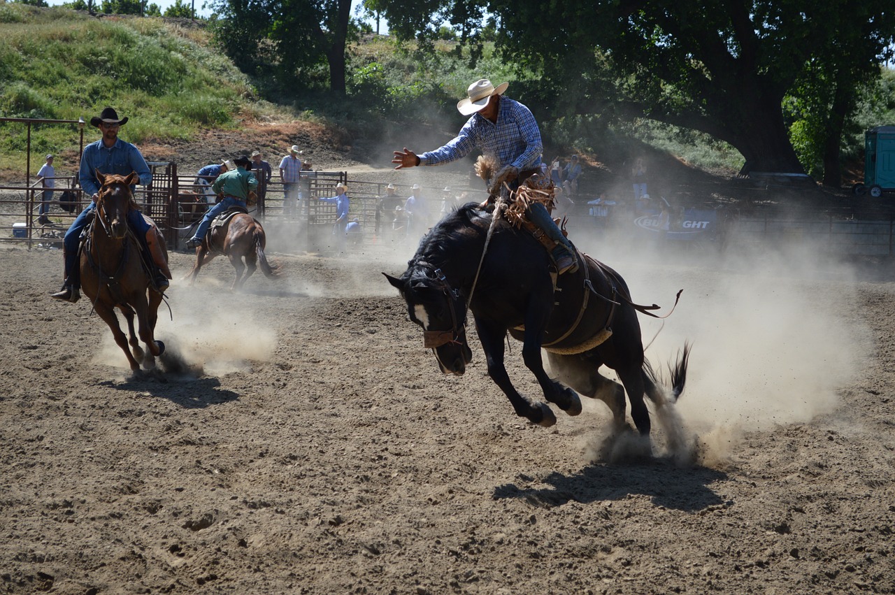 Talahi, Šokinėti, Šokinėja, Bucking, Buck, Gyvūnas, Žinduolis, Ruda, Rodeo, Jaunas