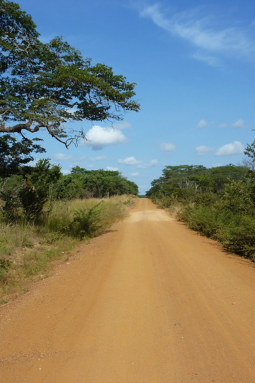 Tanzanija, Kelias, Dulkės, Dangus, Medis, Medžiai, Smėlis, Nemokamos Nuotraukos,  Nemokama Licenzija