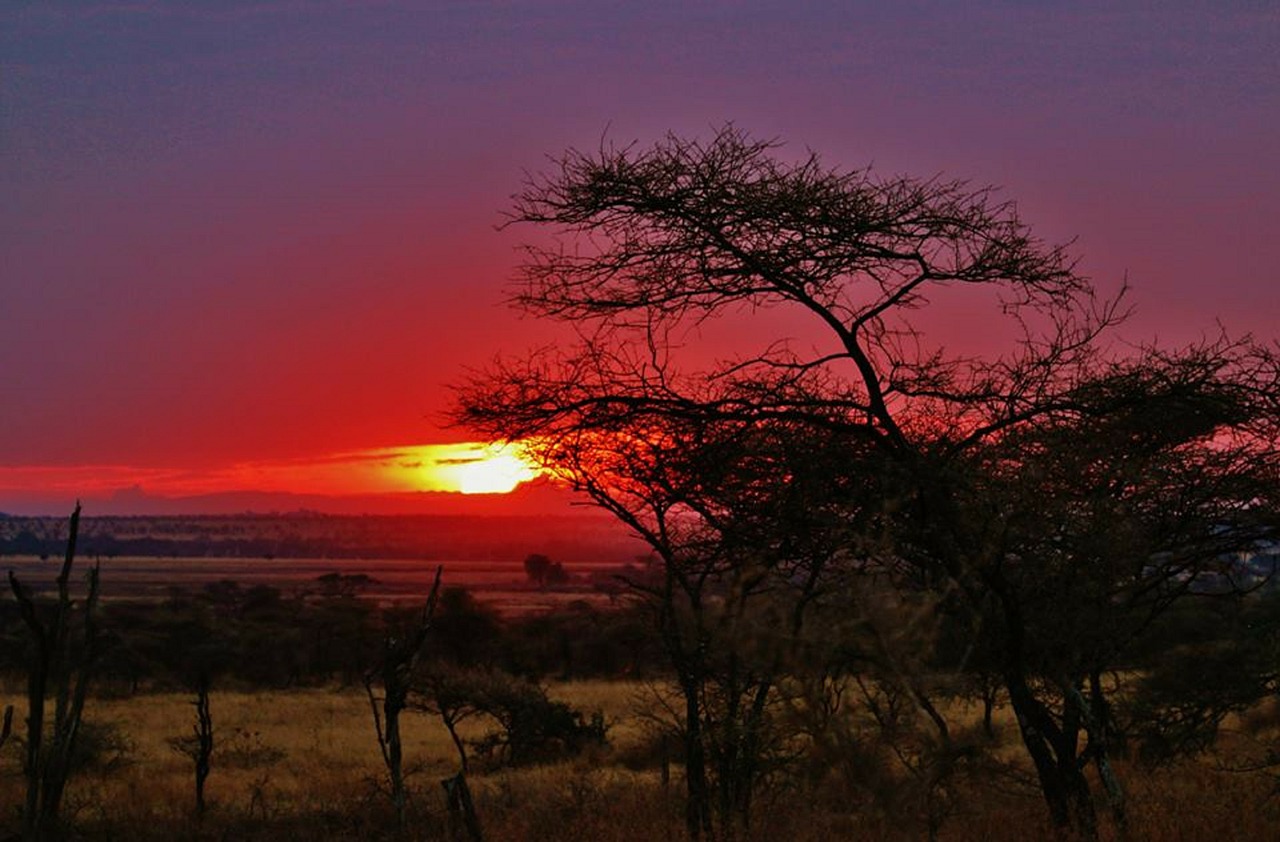 Tanzanija, Serengečio Nacionalinis Parkas, Gamtos Serengetis, Afrika, Kraštovaizdis, Peizažas, Gamta, Serengeti, Debesys, Saulėtekis