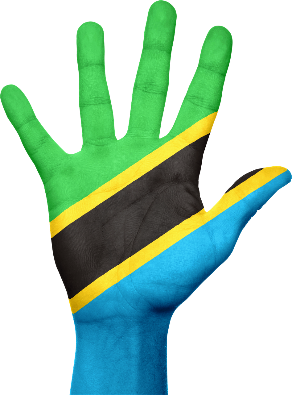 Tanzanija, Vėliava, Ranka, Pasididžiavimas, Patriotinis, Patriotizmas, Simbolis, Ženklas, Afrika, Šalis